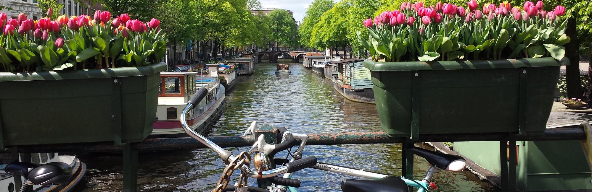Dutch Bike Tours Radreisen Standort Amsterdam
