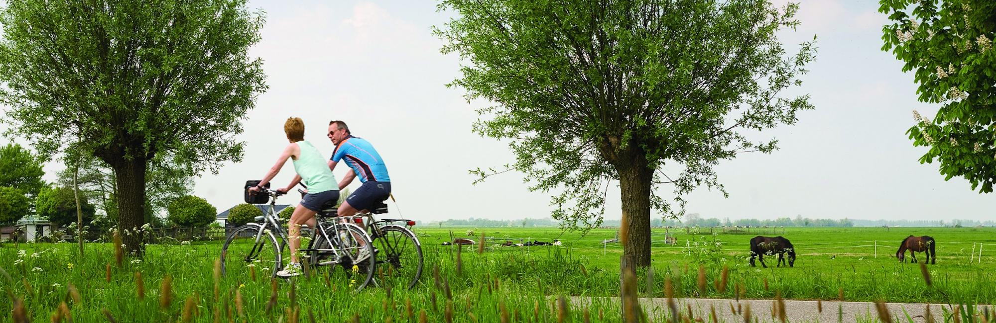 Dutch Bike Tours Radreisen IJsselmeer sportiv tour